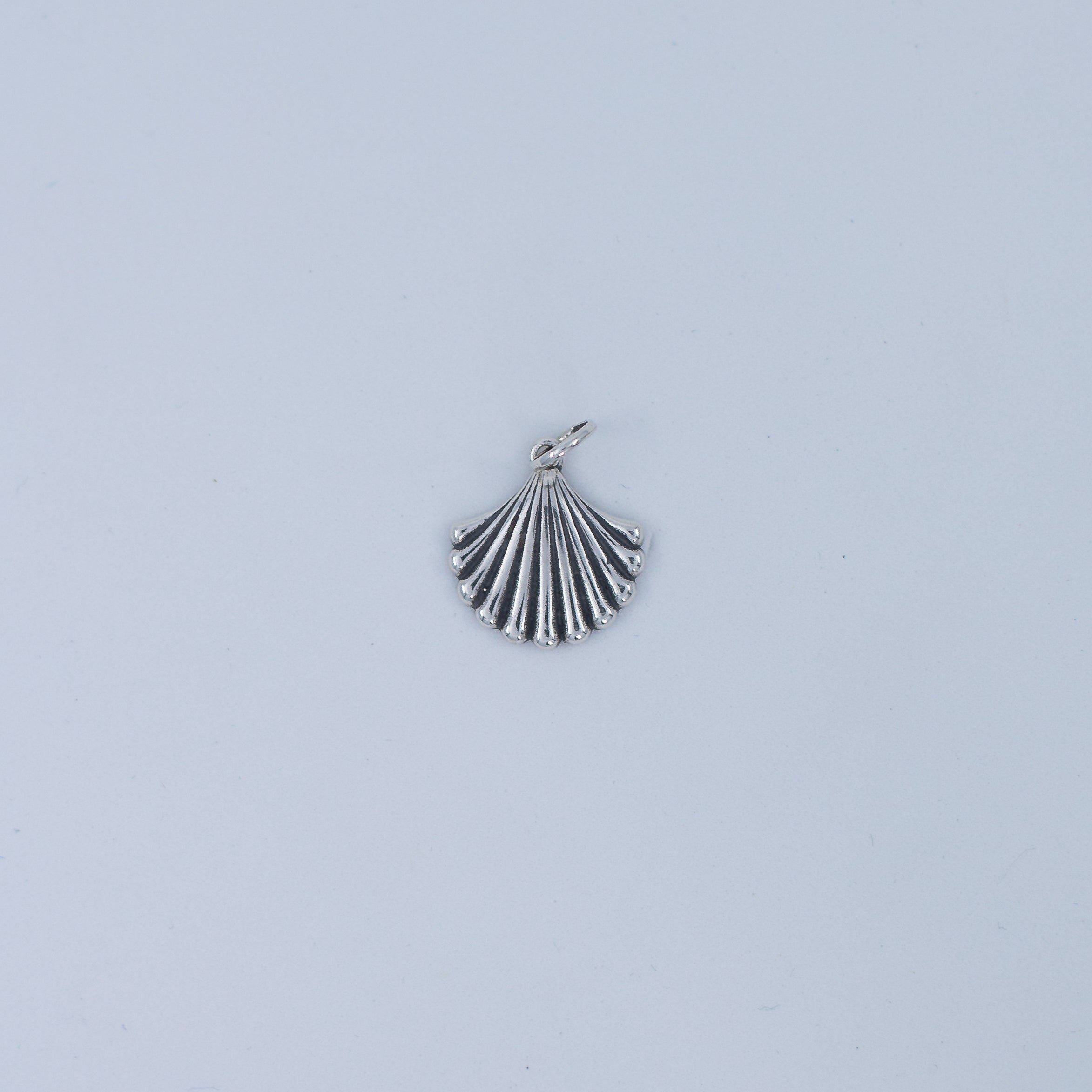 open seashell pendant