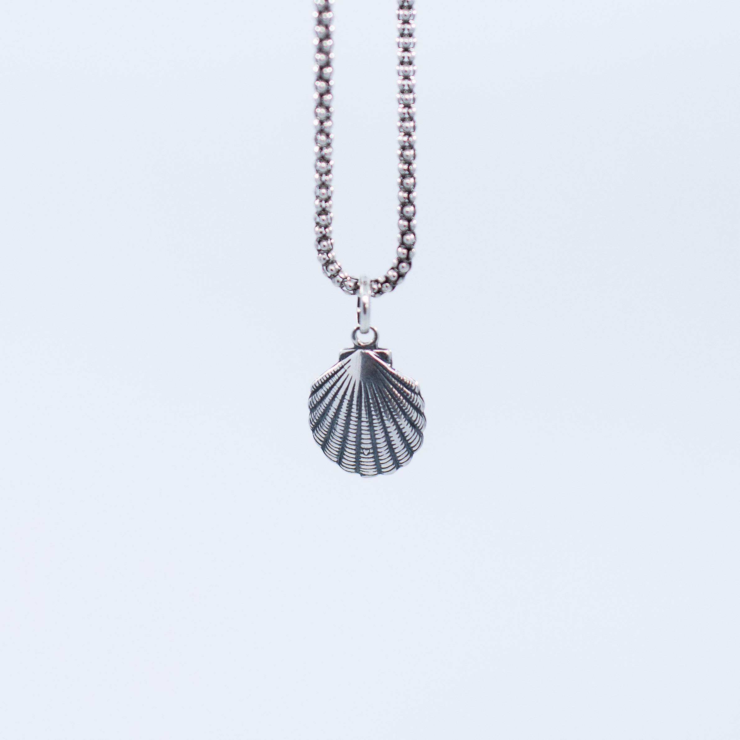 Seashell pendant