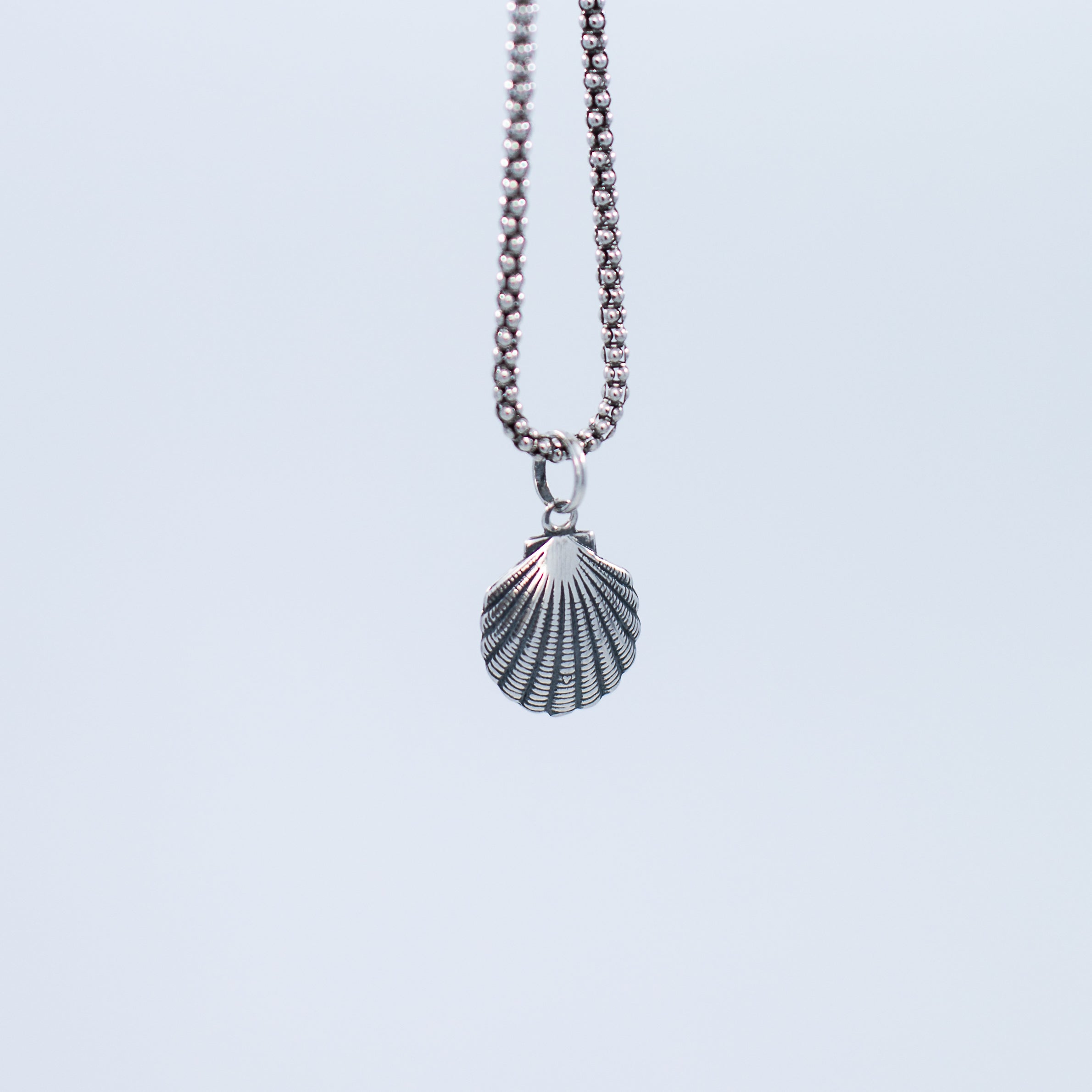 Seashell pendant