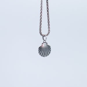 Seashell pendant