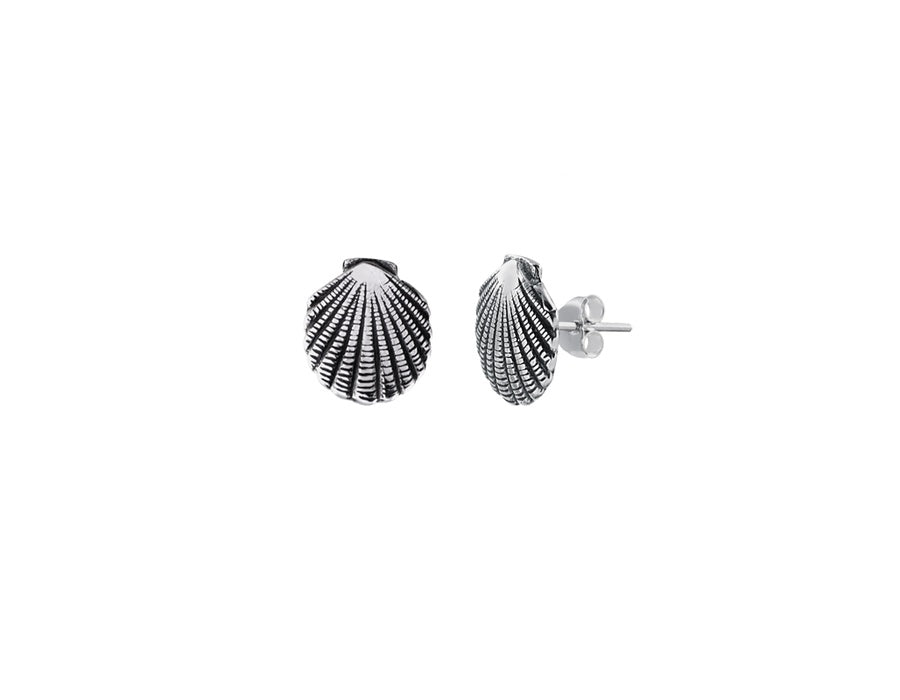 Seashell earring